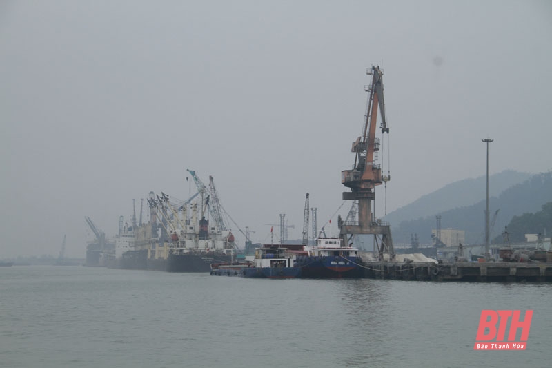 Đẩy mạnh xuất, nhập khẩu hàng hóa qua Cảng biển Nghi Sơn