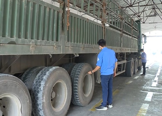 Trung tâm đăng kiểm xe cơ giới Thanh Hóa siết chặt kiểm định kích thước thùng hàng