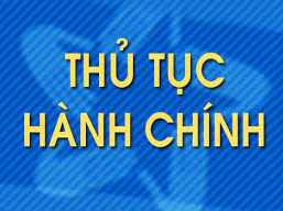 Đổi giấy phép lái xe hoặc bằng lái xe của nước ngoài cấp cho khách du lịch nước  ngoài lái xe vào Việt Nam.